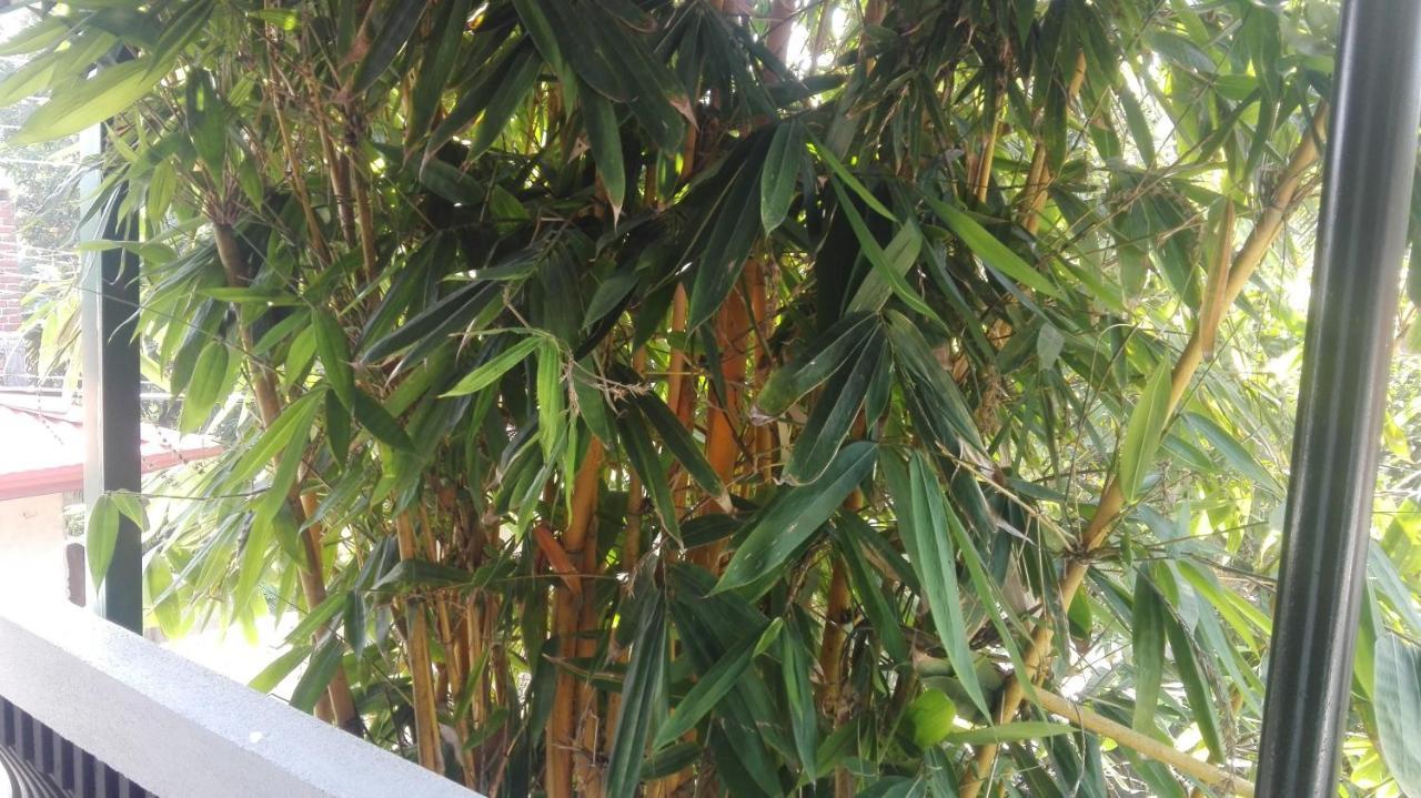 Apartamento Mango Roots Gampaha Exterior foto