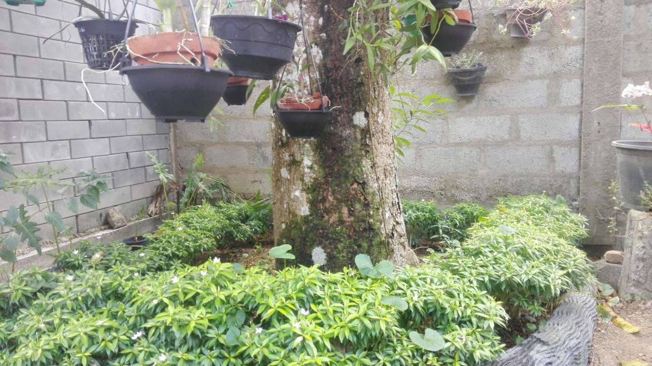 Apartamento Mango Roots Gampaha Exterior foto